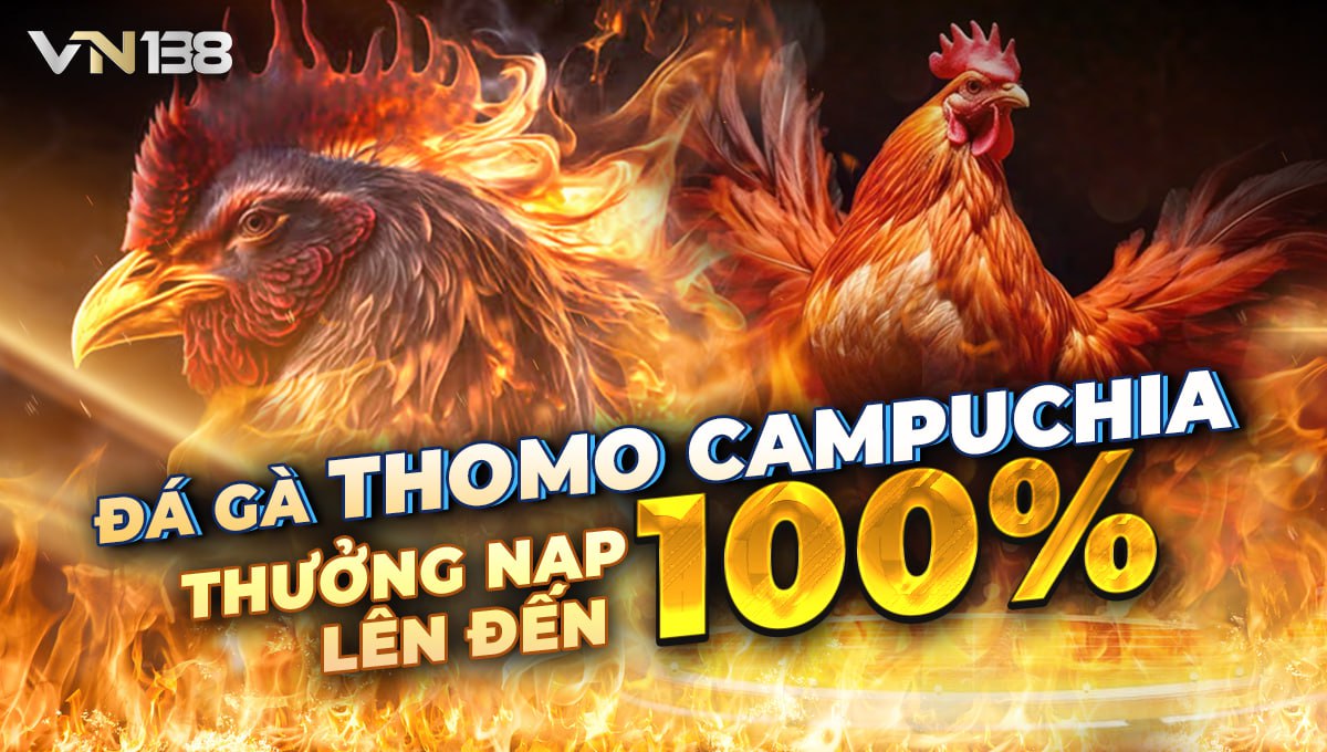VN138 ® Đế Vương Cá Cược Đá Gà, Link Vn138.com Mới Nhất